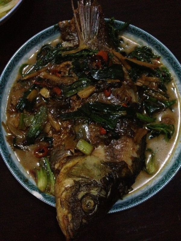 鲤鱼跃龙门 红烧鲤鱼