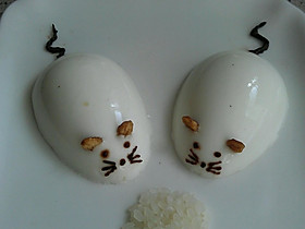 老鼠爱大米的全部作品