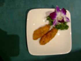 炸鸡翅的全部作品
