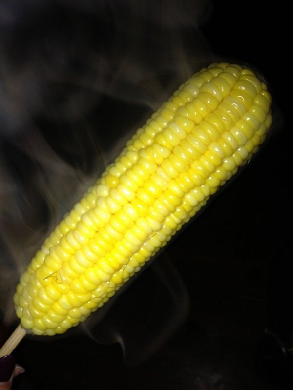 ֶ׵ļ,ķĳ