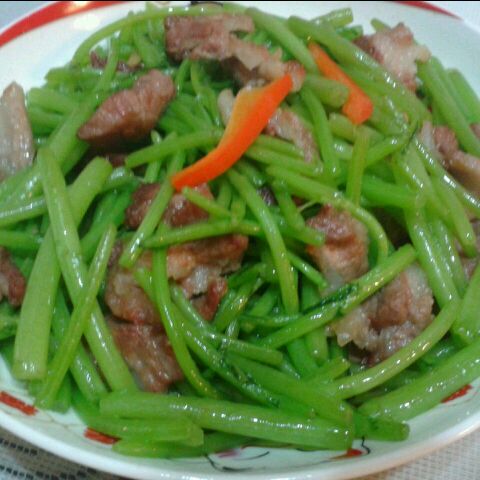 坤佳惠做的茼蒿梗炒肉片的做法_豆果美食