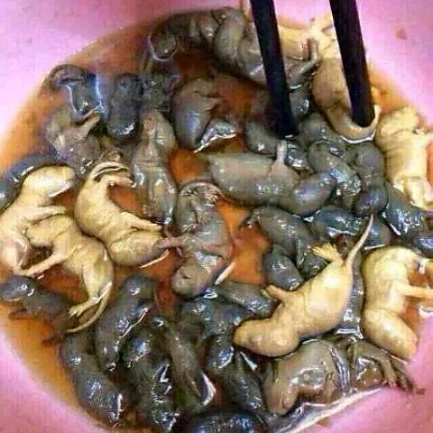 哎呀呀做的老鼠肉的做法