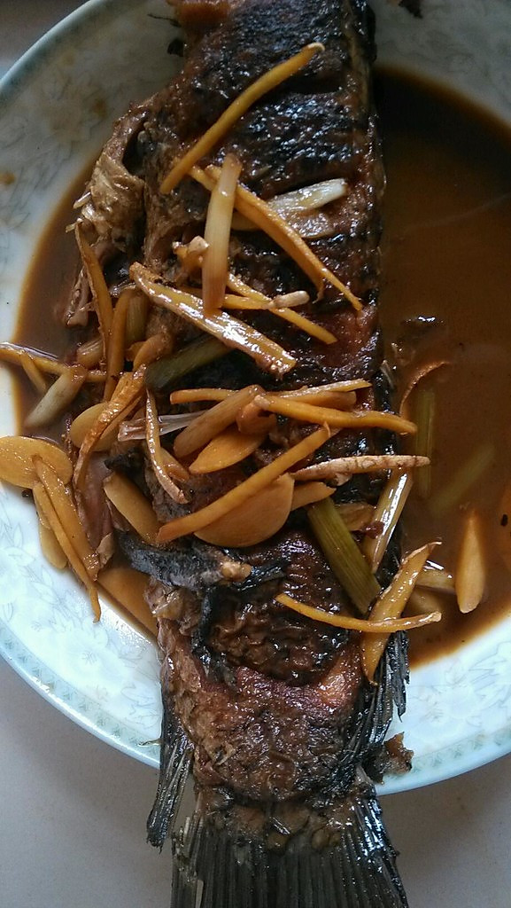 红烧鲤鱼