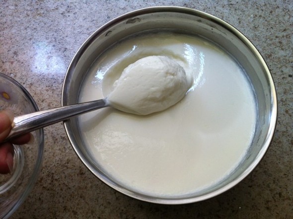 丑九怪做的在家自制酸奶的做法
