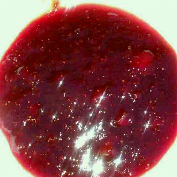 俪Ĳݮ