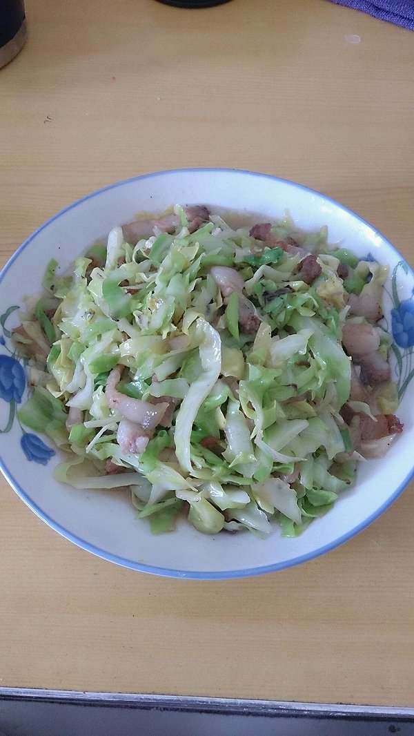 ʵĿǡѸ(ʳ)